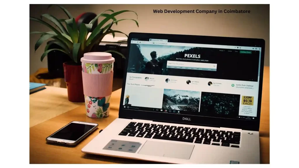 Web Development Company in Coimbatore