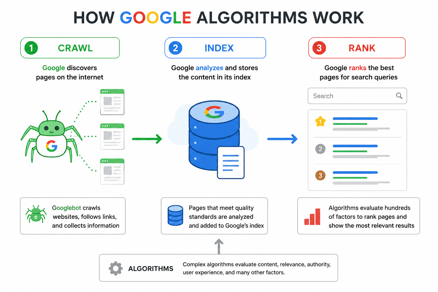 Diagram showing how Google algorithms crawl, index, and rank web pages